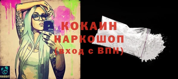 винт Абаза
