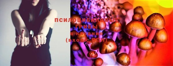 винт Абаза