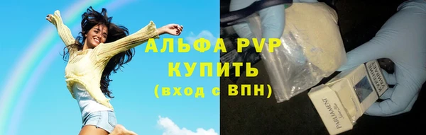 винт Абаза