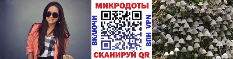 Псилоцибиновые грибы Magic Shrooms  Новоалександровск 