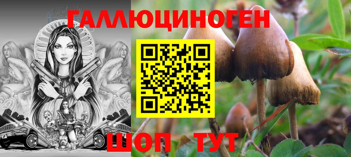 Псилоцибиновые грибы Magic Shrooms Новоалександровск